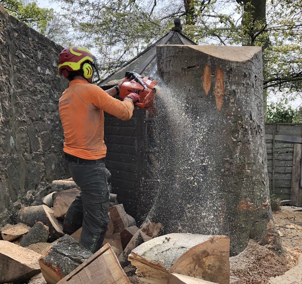 Tree Cutting Aberdeen